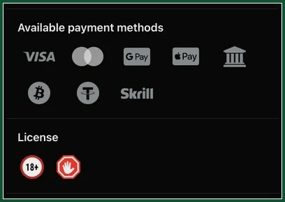 Zahlungsmethoden Visa, Mastercard, Google Pay, Apple Pay, Bank, Bitcoin, Tether und Skrill
